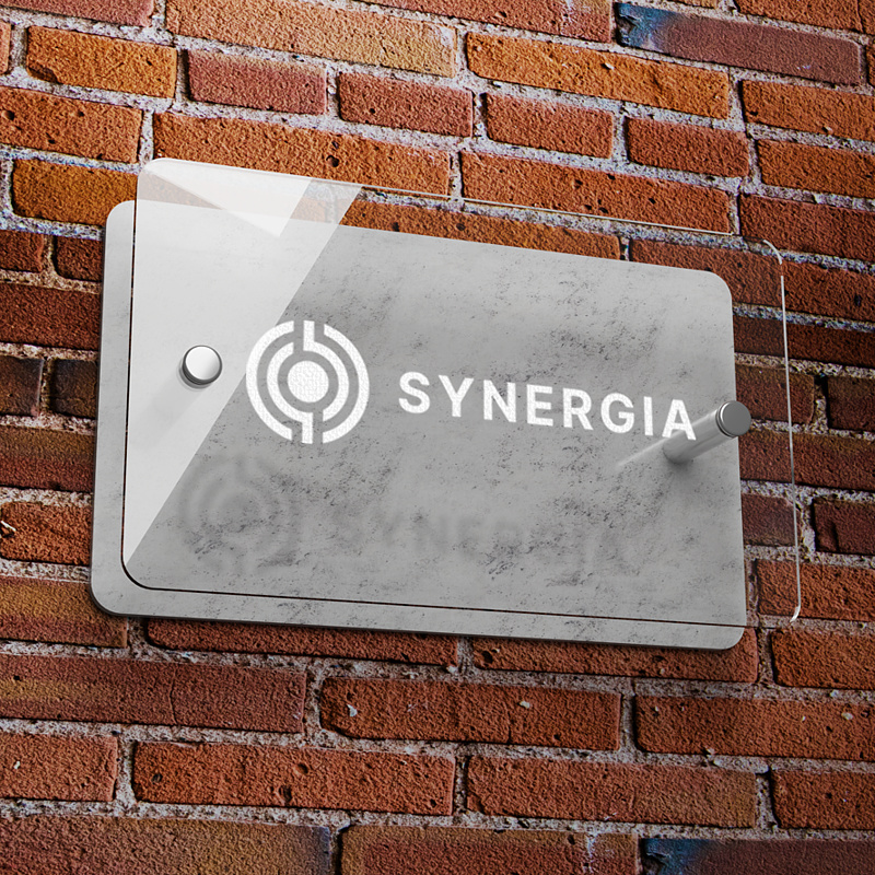 Warszawskie Laboratorium Inicjatyw Społecznych Synergia
